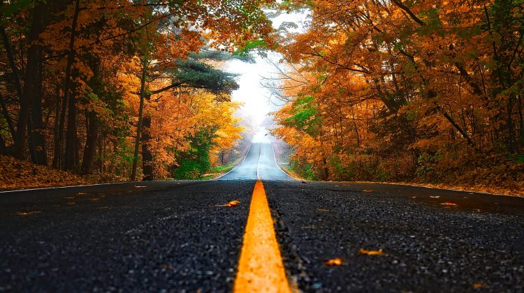 ce seminars: road to